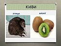 Киви