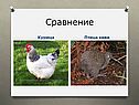 Сравнение