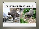 Памятники птице киви