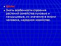 Цель