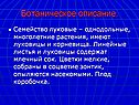 Ботаническое описание