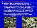 Лук-батун