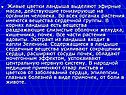 Живые цветки ландыша