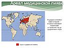 Ареал медицинской пиявки