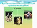 Какую группу живых организмов мы изучаем