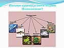 На какие группы делится подтип Позвоночные