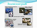 Значение рыб