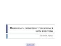 Насекомые – самые многочисленные в мире животные