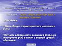 7 класс