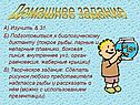 Домашнее задание