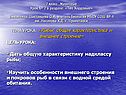 7 класс