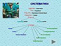 Систематика