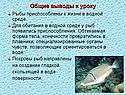 Общие выводы к уроку