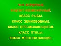 Тип хордовые