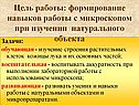 Цель работы