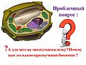 Проблемный вопрос