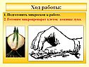 Подготовить микроскоп к работе