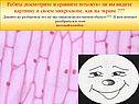 Посмотрите и сравните