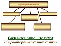 Строение растительной клетки