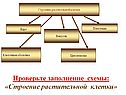 Проверьте заполнение схемы