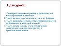 Цель урока: