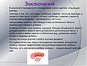 Заключение