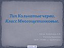 Тип Кольчатые черви