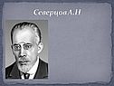 Северцов А.Н