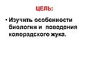 Особенности биологии и поведения