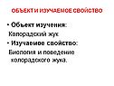 Поведение колорадского жука
