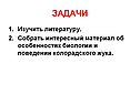 Интересный материал