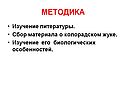 Изучение литературы