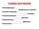 Схема изучения