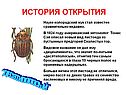 История открытия