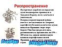 Порт Бордо