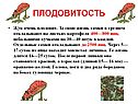 Плодовитость