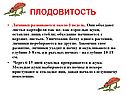 Личинки