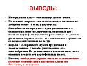 Опасный вредитель полей