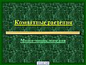 Комнатные растения