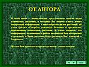 От автора