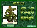 Маранта
