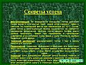 Секреты успеха
