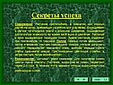 Растение светолюбиво