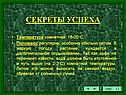 Температура комнатная