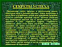 Пассифлоры любят сильную и питательную землю