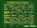 Светлое и солнечное место