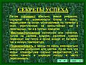 Летом поливают обильно, зимой умеренно