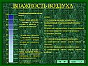 Влажность воздуха