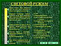 Световой режим