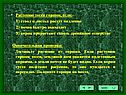 Растению тесен горшок